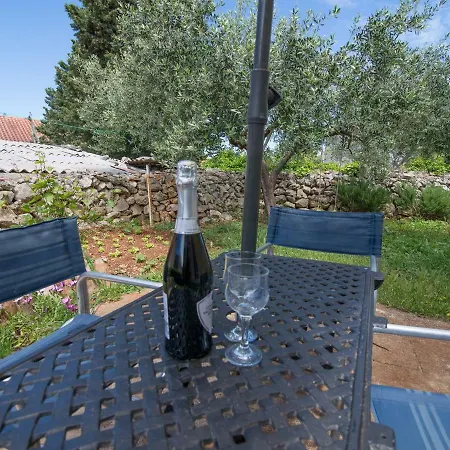 Tena * 베리로신즈